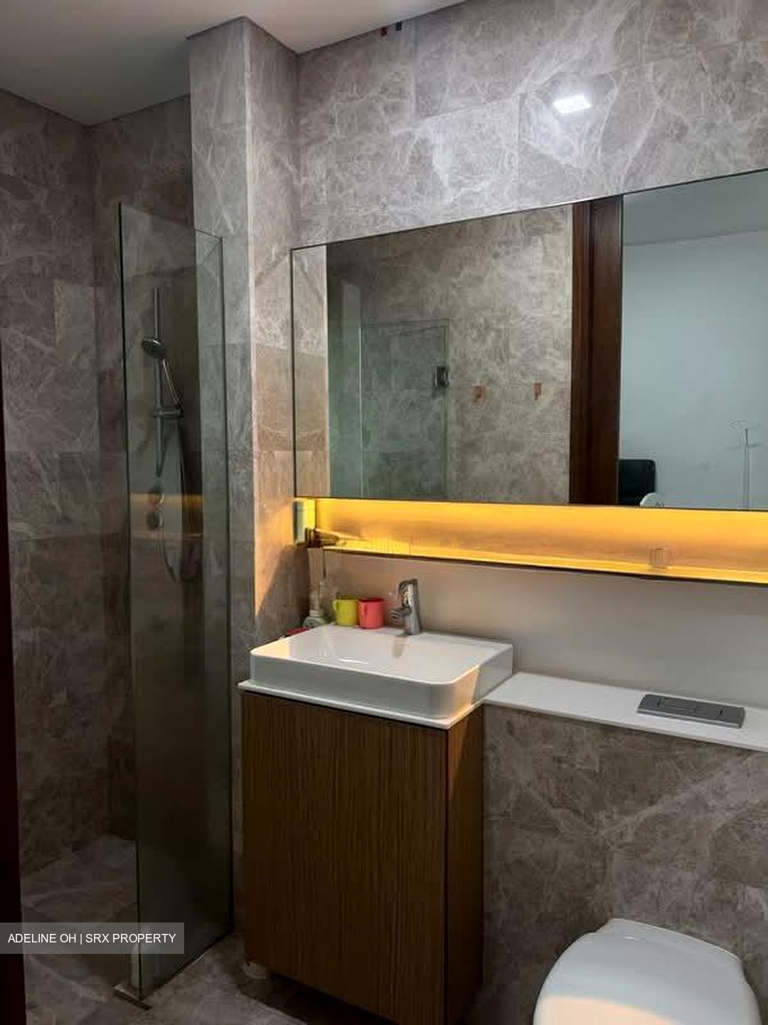 L'Viv (D11), Apartment #528932701